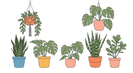 A vibrant collection of diverse potted houseplants, including hanging and standing plants like monsteras and snake plants, on a white background.