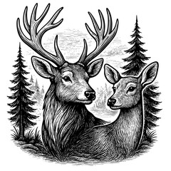 Hand Drawn Stag and Female Deer Lying in Pine Forest