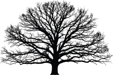 Obraz premium Modern Vector Graphic Design Element with Advanced Color Management and Print Capabilities