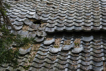 崩壊しつつある瓦屋根