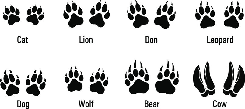 A comparative vector illustration set of various animal footprints, showing different paw prints and hoof marks as black silhouettes for design elements 04
