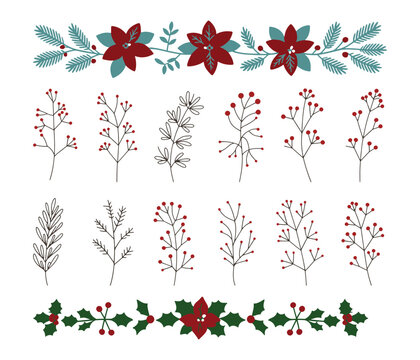 Elegant botanical flower illustration with vibrant petals and delicate leaves perfect for nature inspired designs and artistic projects