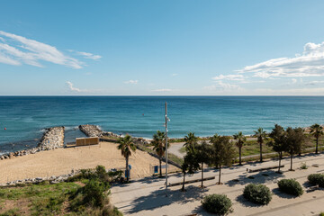 A scenic view of the beach in Barcelona, featuring a sandy shore, palm trees, and a calm blue sea under a clear sky.