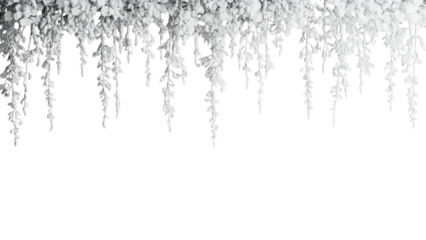 Close up of delicate icicles hanging against a transparent background in winter