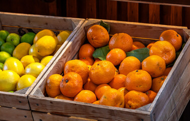 Bright orange citrus fruits in a crate. Farmers' market with fresh fruits and vegetables. Colorful display of seasonal products for retail sale. Fruits and vegetables at the market.