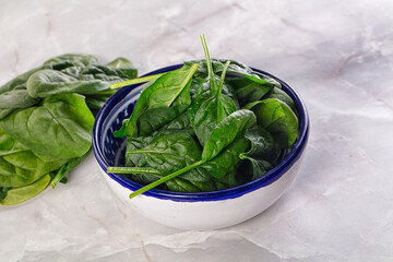 Raw green baby spinach plant