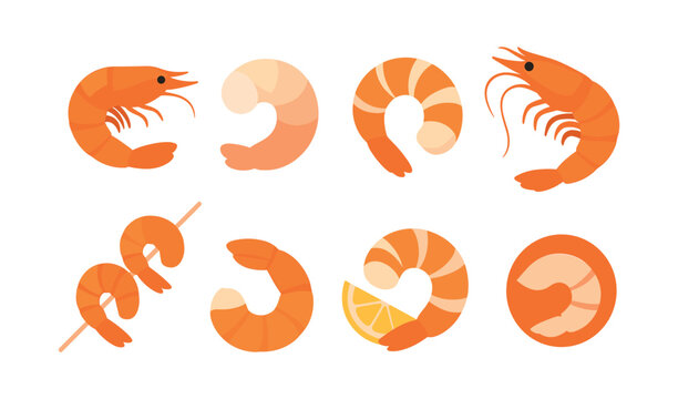 Seafood elements, shrimp prawn icons, flat vector illustration