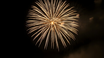 Golden Glowing Burst Fireworks Display Celebration in the Night Sky