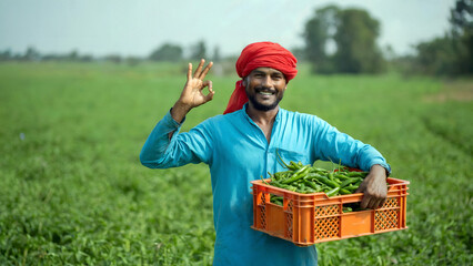 Happy farmer showing off his fresh chili pepper harvest in a lush green field with an okay sign