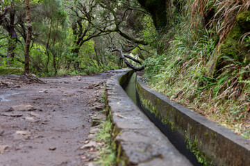 Hiking path along the Levada of twenty five fountains in Madeira, bordered by stone canal walls and surrounded by lush ferns, moss and humid forest vegetation