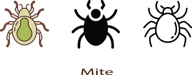 vector illustration of a cactus