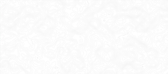Topographic Map with Fine, Light Gray Lines on a Bright White Background Soft Contour Pattern Background.