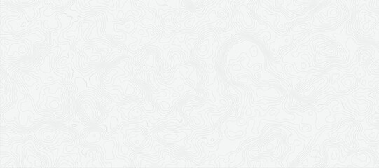 Topographic Map with Fine, Light Gray Lines on a Bright White Background Soft Contour Pattern Background.