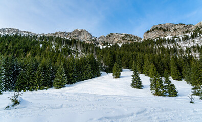 Limestone rocks form a wall above the forest. Winter mountain view.