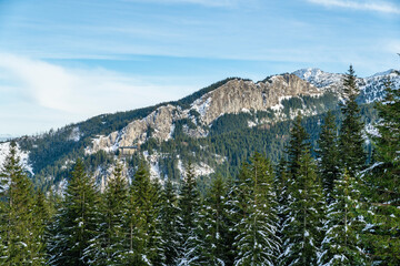 A beautiful rock wall emerging from the forest in the mountains.