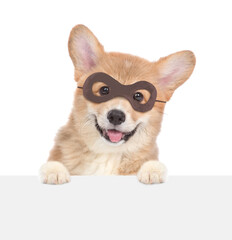 Happy Red Pembroke Welsh Corgi puppy dressed like a burglar or superhero with eye mask looking above blank banner. isolated on white background