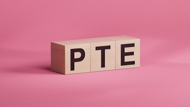 Three wooden cubes with the letters PTE.close up of wooden cubes,Business Concept.3D rendering.