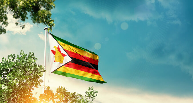 Zimbabwe national flag waving in the sky behind the tree. The flag blowing with beautiful sunlight. Zimbabwe national flag for independence day. - Powered by Adobe