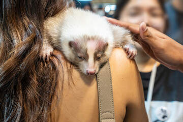 Fototapete bei efototapeten.de bestellen   