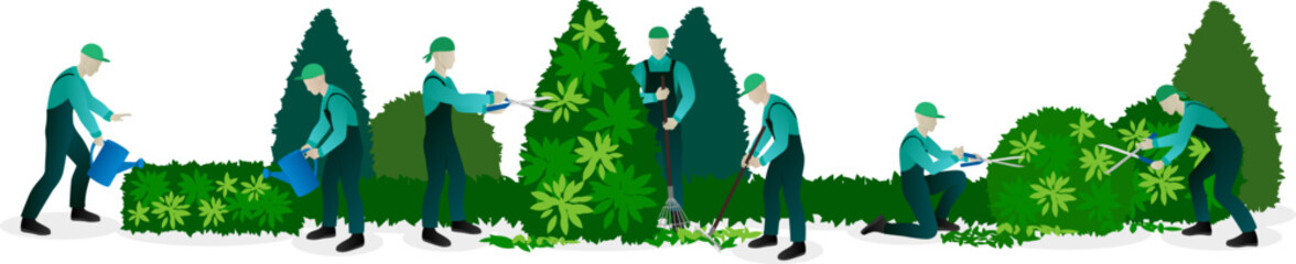 Urban planting and landscaping concept. Workers pruning and trimming trees and bushes, watering lawn and caring of plants, remove fallen leaves.