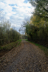 vue d'un paysage avec un ciel nuageux dans le centre de la France en Europe