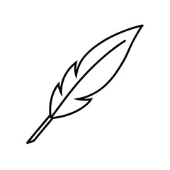Outline drawing of a single feather on a white background on transparent background