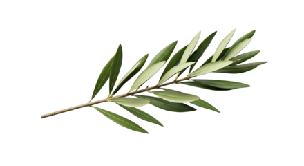 Abstract Blueberry Honeycomb Seamless Pattern Background for Textile and Design