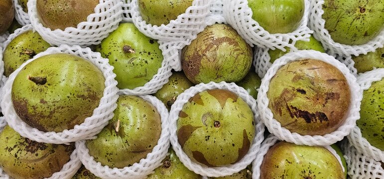 A close-up view of fresh Vietnamese breast milk fruit, also known as star apples (Chrysophyllum cainito), displayed in protective foam netting sleeves at a local grocery store or market.