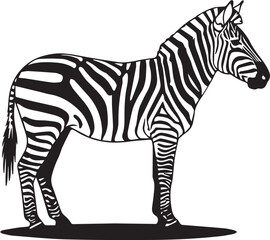 Zebra illustration standing in side view with elegant stripes pattern