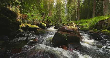 Fototapete Rund Wald Fluss Forest stream with clear flowing water and soft birdsong. Relaxing natural ambience captured in a peaceful woodland setting, perfect for meditation and nature themes.  © Jag_cz