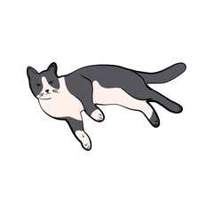Sleeping cute cat in a lying pose. Cartoon pet kitten perfect for stickers, stationery, prints and pet-themed designs