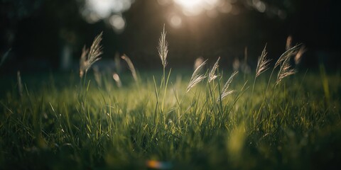 Fototapeta premium Business professionals analyzing quarterly revenue data and marketing strategies, teamwork in a corporate meeting setting