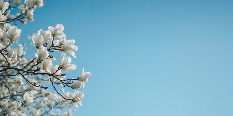 Vintage letterpress word for blog set against yellow mulberry paper, serving as a background for editorial layout