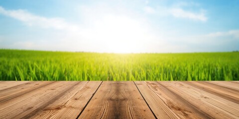 Fototapeta premium Ruins of an ancient Roman town in Tunisia, emphasizing archaeological preservation