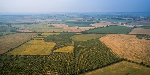 Palm forest on a tropical island with sky and beach, serving as a scenic background for travel and nature photography
