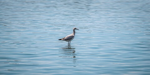 Large Christmas gift packages on a red truck prepared for delivery, seasonal holiday logistics