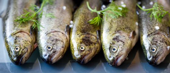Fresh uncooked fish with herbs on stone board