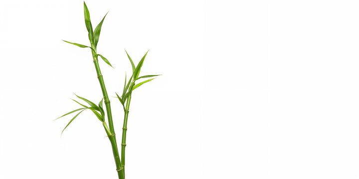 Soft plush otter-shaped pillow in brown and cream, designed for comfort and support during lounging, World Sleep Day