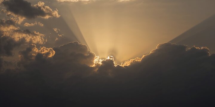 Black and white portrait of a young woman in vintage black hat with mystery veil, emphasizing fashion and style details - Powered by Adobe