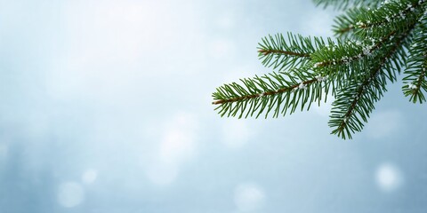 Obraz premium Green moss-covered wave breakers lining the shoreline, serving as natural erosion control, Earth Day