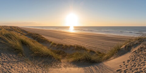 White floral tree with green leaves and blooming petals in a spring garden, attracting bees, seasonal change