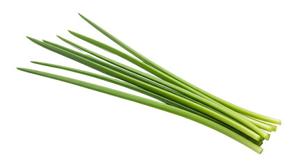 Close up of Fresh Spring Onion Stalks Isolated on a Clean White Background