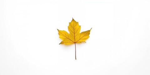 Obraz premium Red sandstone rock formations in Valley of Fire State Park, Nevada, emphasizing erosion and natural preservation