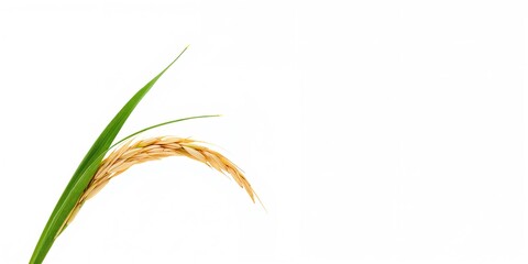 Fototapeta premium 3d circular road illustration with asphalt texture used in highway design, advertising layout, noise effect, Earth Day