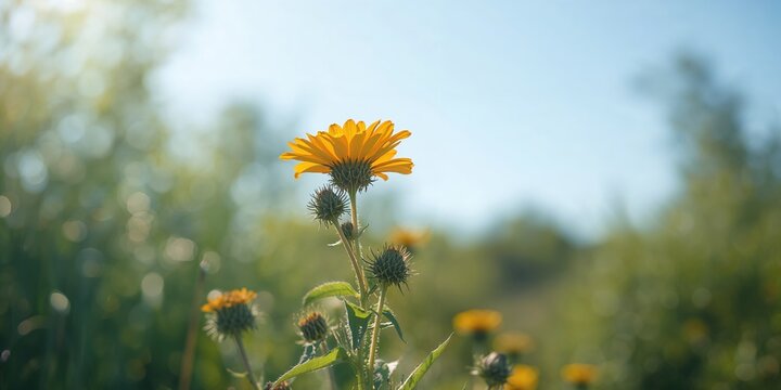 Abstract brick wall background, suitable for text and layout design, neutral surface for editorial headers