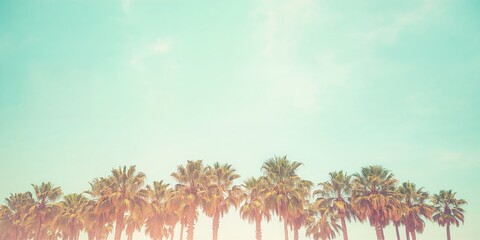 Barn owl in flight over open landscape, emphasizing nocturnal hunting behavior, Night Awareness Day