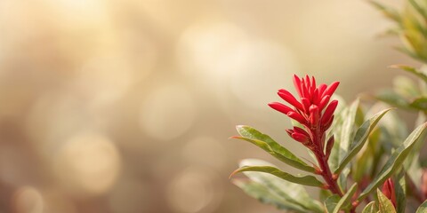 A hand slices a red ribbon during a grand opening, emphasizing event preparation and celebration procedures