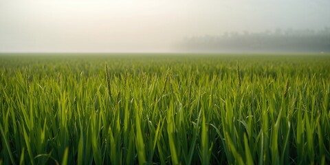 Obraz premium Spring floral background with Easter eggs and decorations, suitable for festive greeting cards