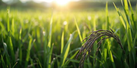 Fototapeta premium Aerial view of a highway with vehicles and surrounding landscape, emphasizing traffic flow and road infrastructure, Earth Day