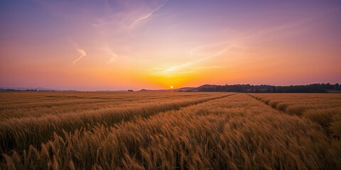 Fototapeta premium Electrical wiring diagram showing circuit connections for electrical systems, useful for maintenance and troubleshooting, technical reference, World Electrical Safety Day
